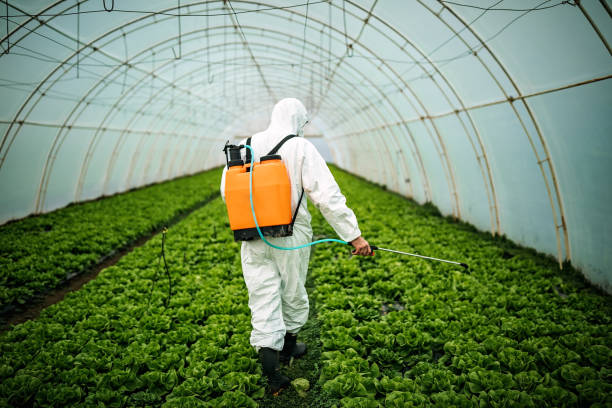 Best Pest Inspection Near Me  in Midland, PA
