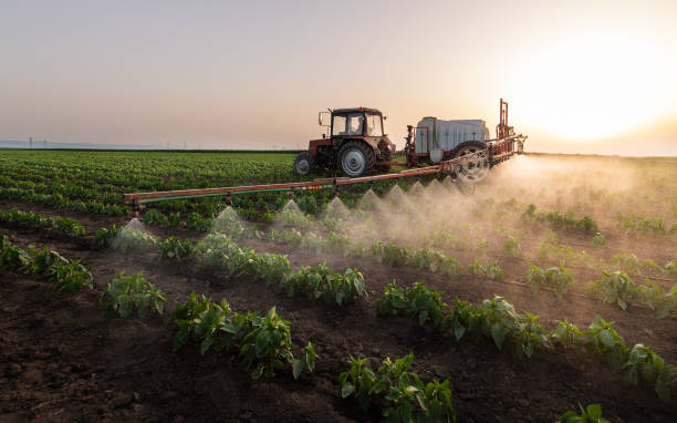 Best Pest Removal Services  in Midland, PA