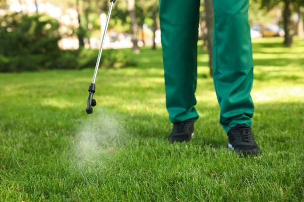 Best Mosquito Control Services  in Midland, PA