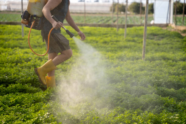Best Commercial Pest Control Services  in Midland, PA