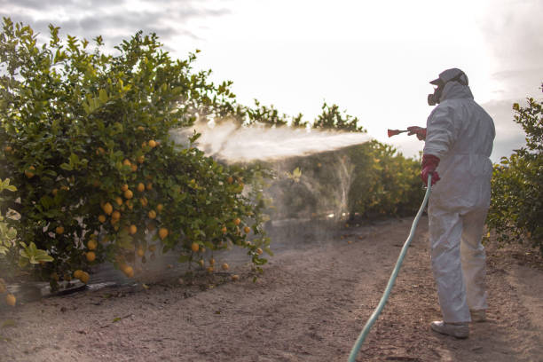 Best Exterminator Services  in Midland, PA