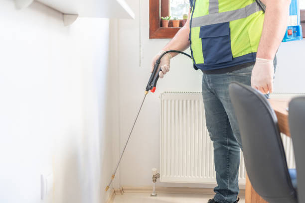 Wasp Removal Services in Midland, PA