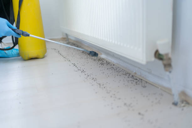 Best Cockroach Control Services  in Midland, PA