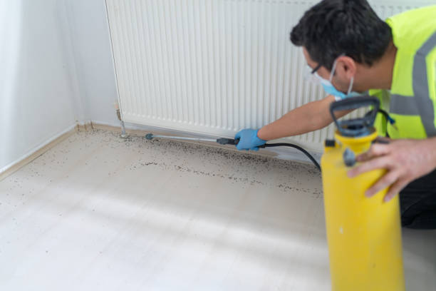 Best Residential Pest Control  in Midland, PA